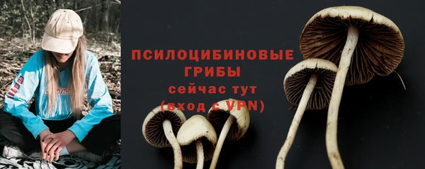кокс Баксан