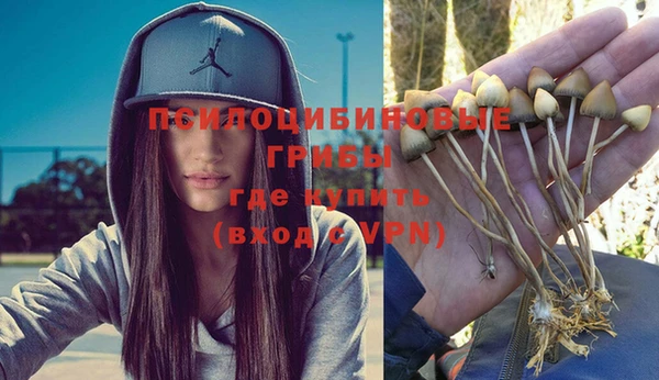 прущие крисы Балабаново