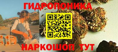 марихуана Камышлов