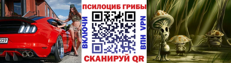 Псилоцибиновые грибы Magic Shrooms  darknet наркотические препараты  Корсаков 