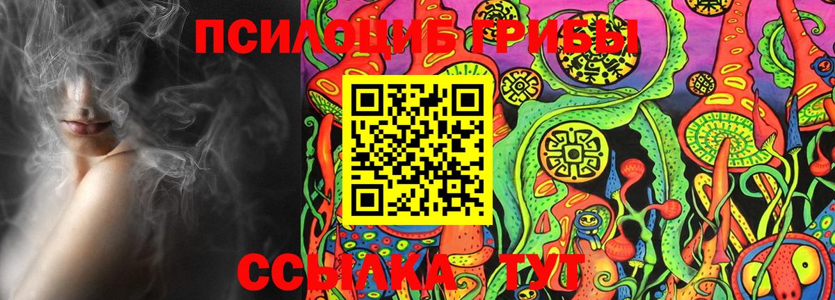 Корсаков  Галлюциногенные грибы Cubensis  купить наркоту  Вход с VPN 